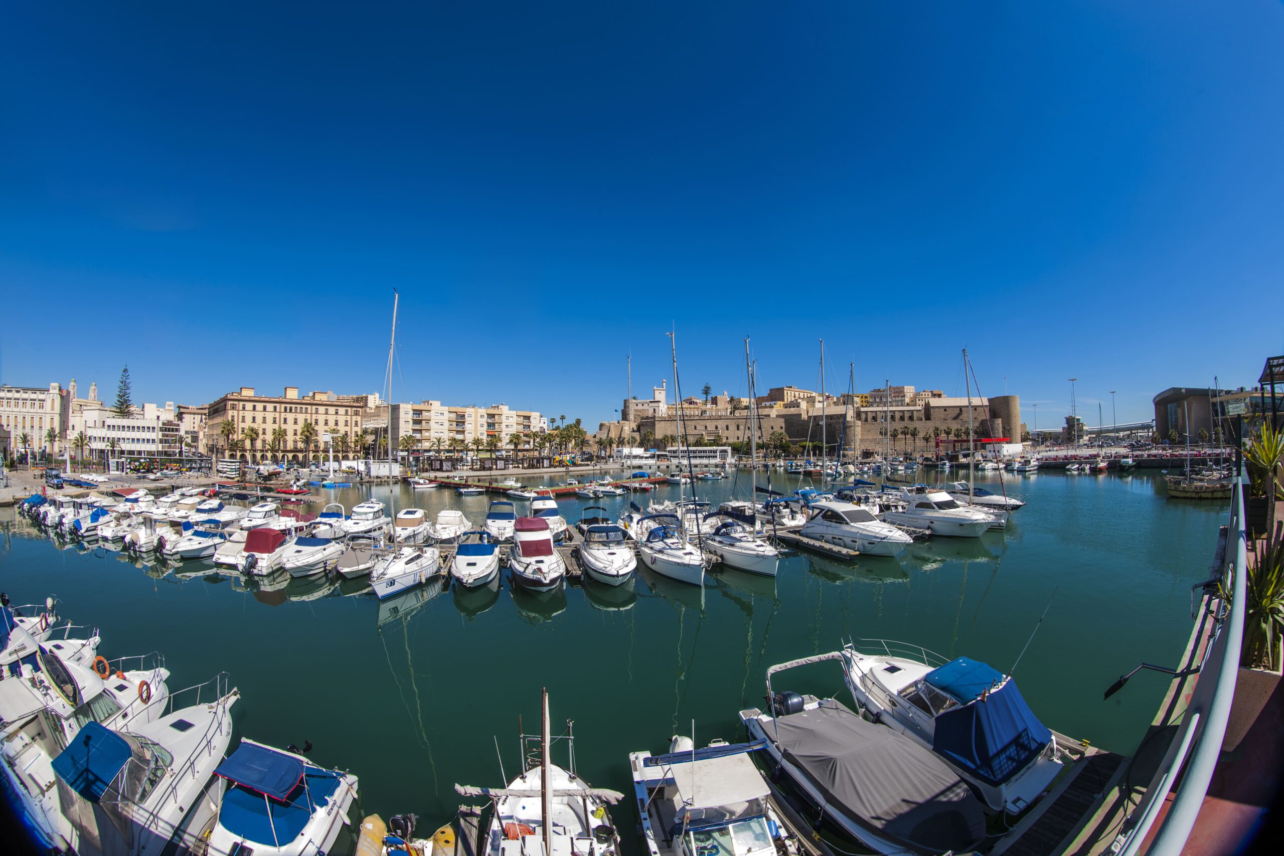 Melilla renueva su adhesión a REDD y refuerza, junto a Torremolinos, su candidatura a EuroPride 2030/2031